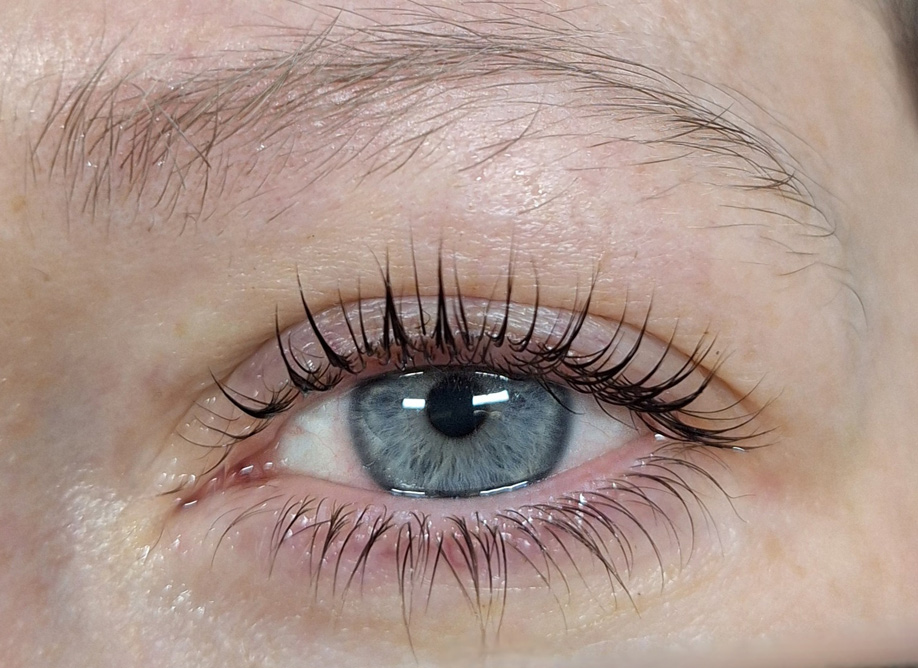 Wimpernlifting Leipzig – Perfekt geschwungene Naturwimpern